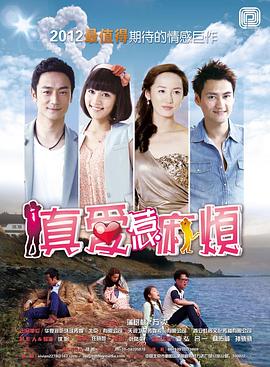 真爱惹麻烦 2013 电视剧 海报