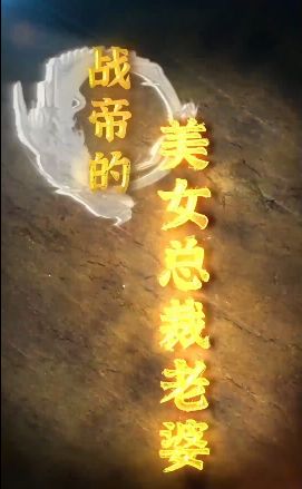 战帝的美女总裁老婆 2024 短剧 海报