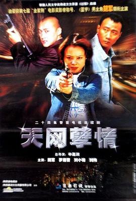 天网孽情 2001 电视剧 海报