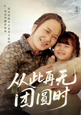 从此再无团圆时 2025 短剧 海报
