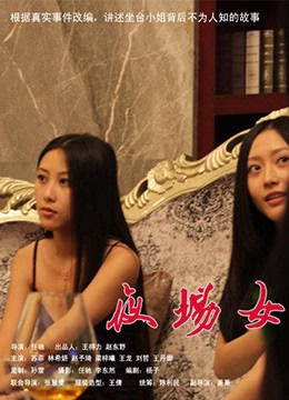 坐台小姐 2013 电影 海报