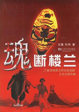 魂断楼兰 2004 电视剧 海报