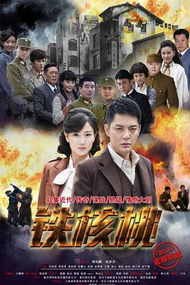 铁核桃 2015 电视剧 海报