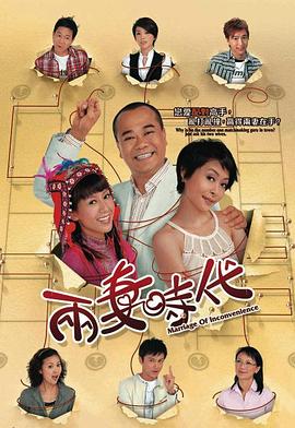 两妻时代 2007 电视剧 海报