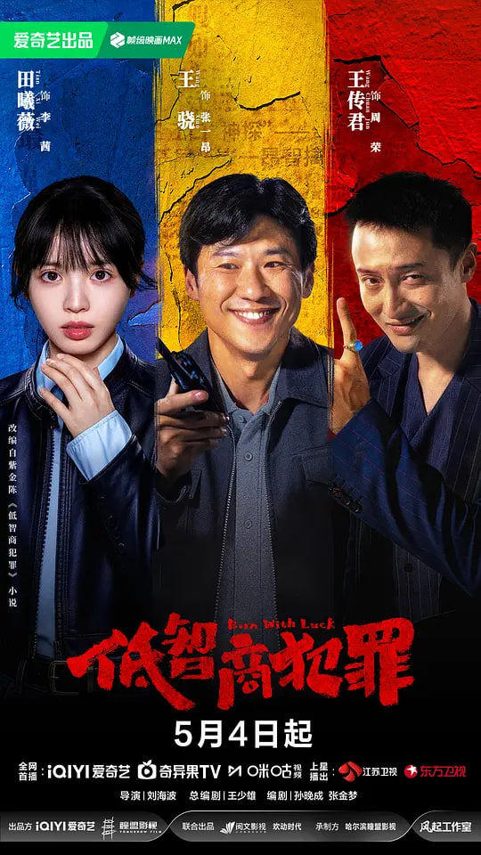低智商犯罪 2026 电视剧 海报