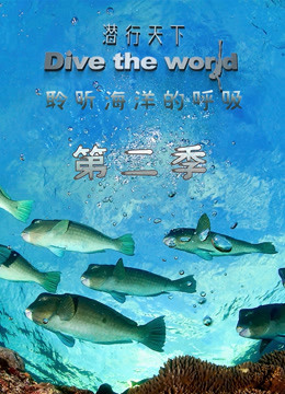 潜行天下 第二季 2020 纪录片 海报