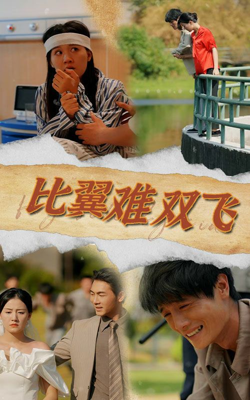 比翼难双飞 2024 短剧 海报