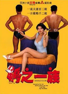 鸭之一族 1993 电影 海报