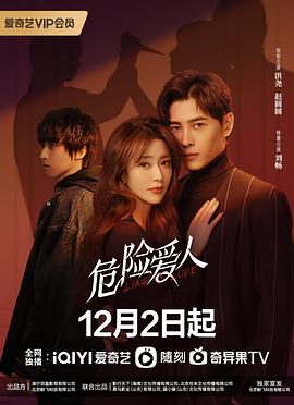 危险爱人 2022 电视剧 海报