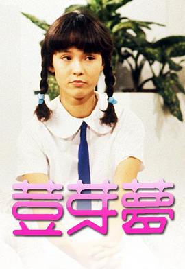 豆芽梦1981 1981 电视剧 海报