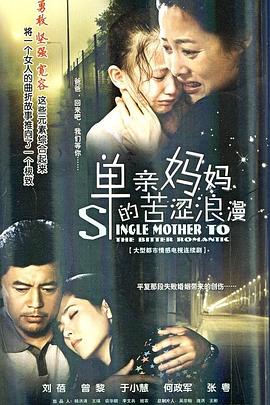 单亲妈妈的苦涩浪漫 2010 电视剧 海报