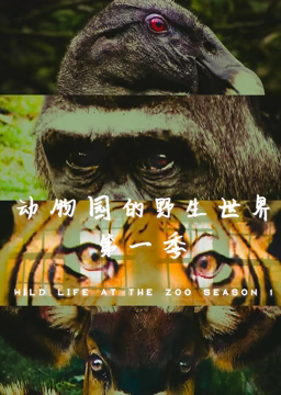 动物园的野生世界 第一季 2012 纪录片 海报