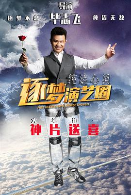 纯洁心灵·逐梦演艺圈 2015 电影 海报