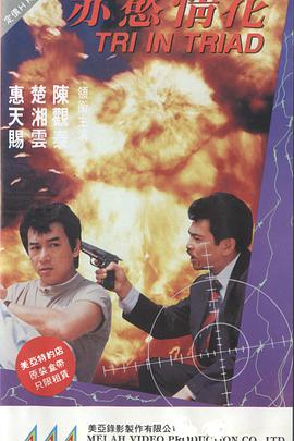 赤欲情花 1991 电影 海报