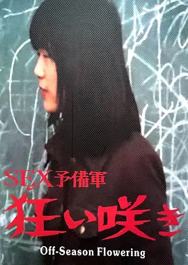 淡季花开 1973 电影 海报
