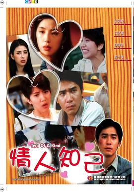 情人知己 1993 电影 海报