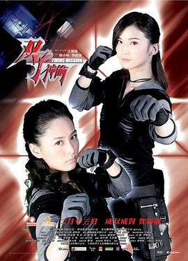 双子神偷 2007 电影 海报