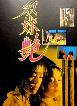 双姝艳 1995 电影 海报