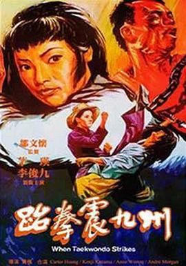 跆拳震九州 1973 电影 海报