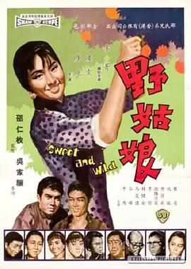 野姑娘 1966 电影 海报