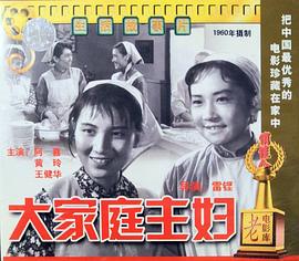 大家庭主妇 1960 电影 海报