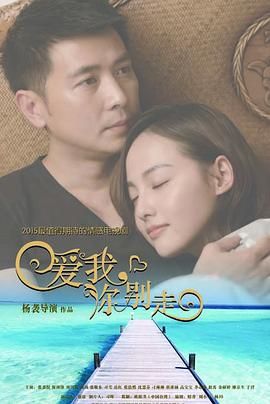 爱我，你别走 2015 电视剧 海报