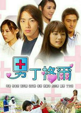 男丁格尔 2004 电视剧 海报