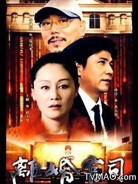 离婚官司 2005 电视剧 海报
