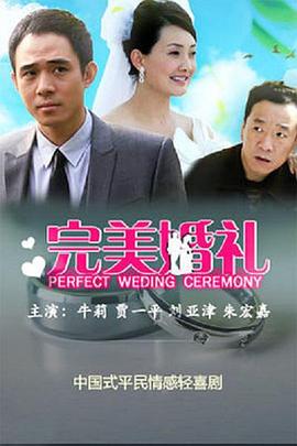 完美婚礼 2011 电视剧 海报