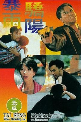 暴雨骄阳粤语 1994 电影 海报