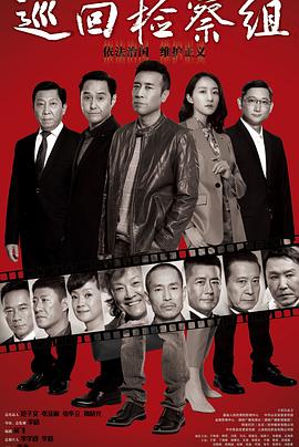 巡回检察组（DVD版） 2020 电视剧 海报