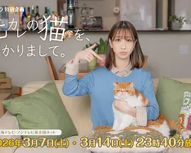 我收留了前男友的猫 2026 电视剧 海报