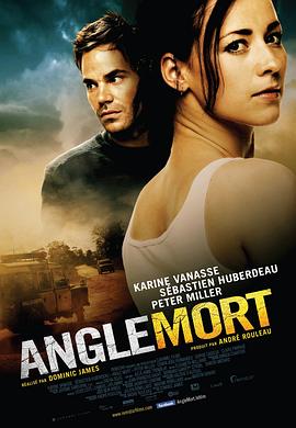 盲点 Angle mort 2011 电影 海报