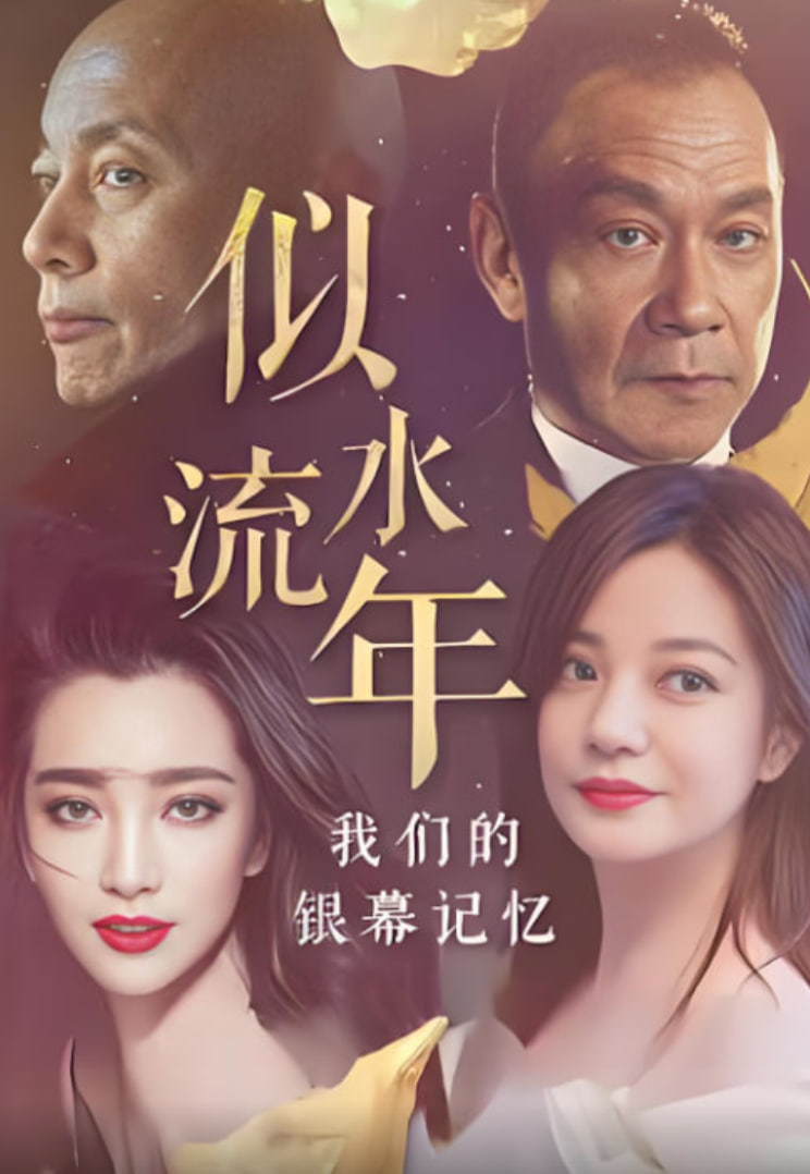 似水流年：我们的银幕记忆 2008 纪录片 海报