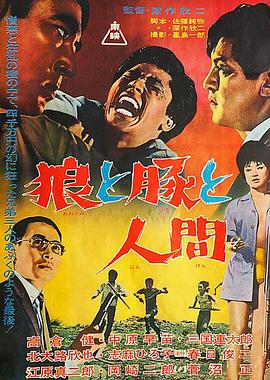 狼猪人 1964 电影 海报