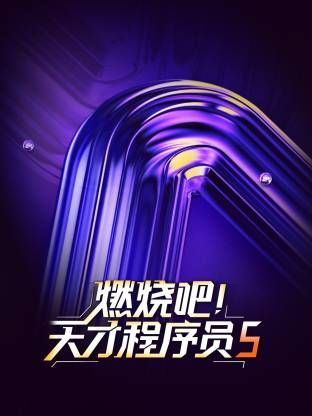 燃烧吧！天才程序员第五季 2025 综艺 海报