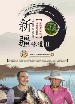 新疆味道2 2023 纪录片 海报