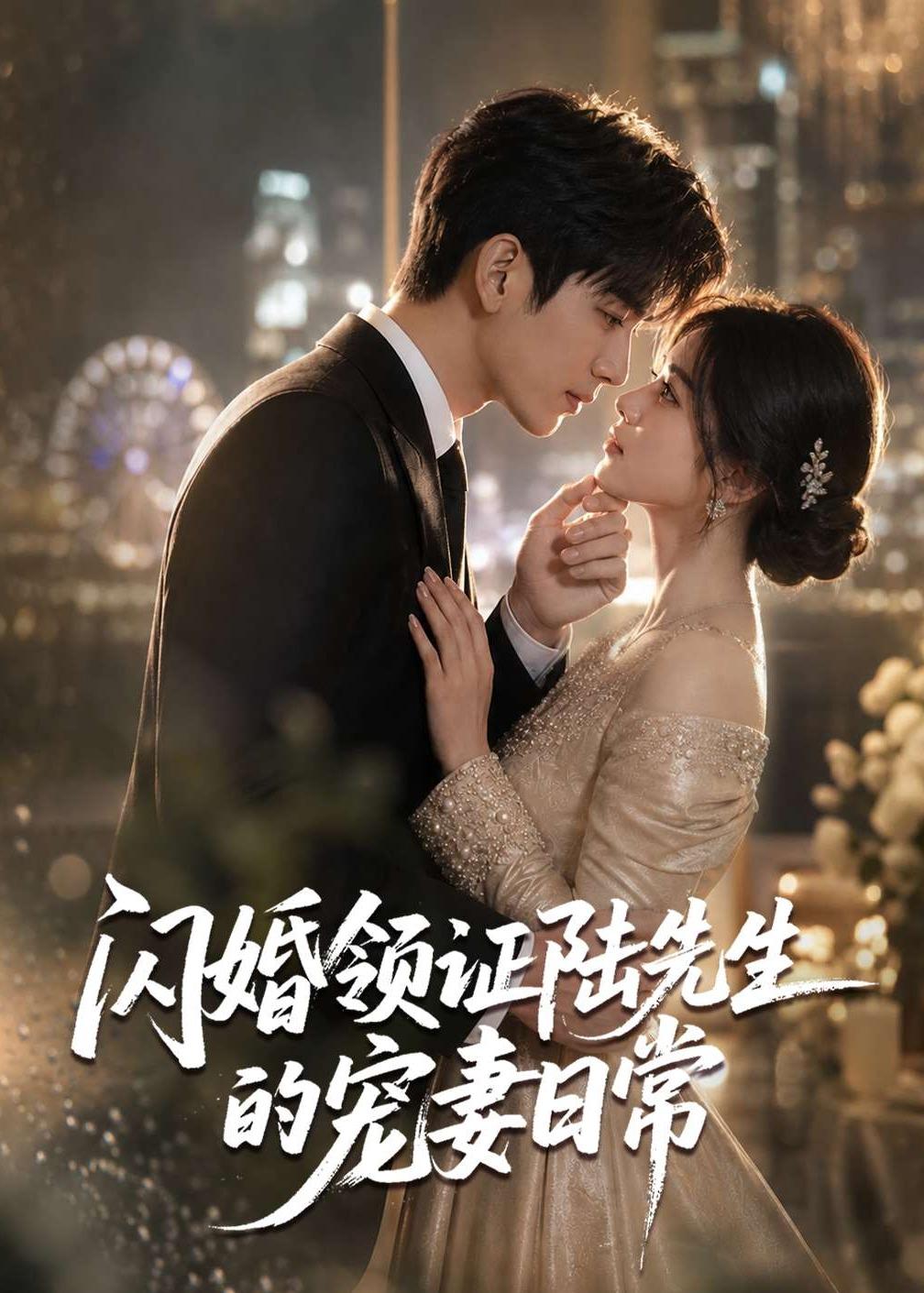 闪婚领证陆先生的宠妻日常 2026 动漫 海报