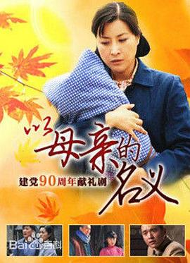 养母 2011 电视剧 海报