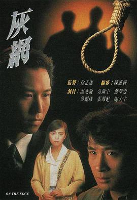 灰网 1991 电视剧 海报