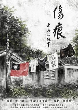 伤痕——老兵的故事 2024 纪录片 海报