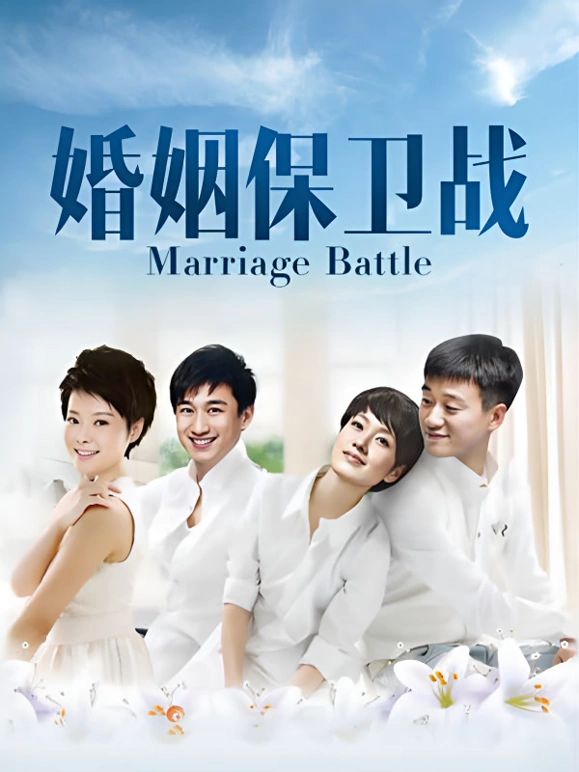 婚姻保卫战 2010 电视剧 海报