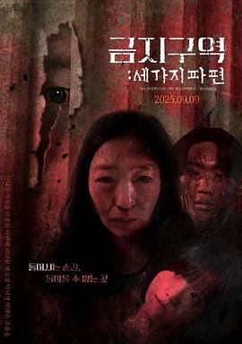 禁区:三个碎片 2025 电影 海报