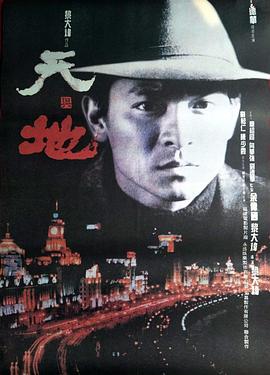 天与地 1994 电影 海报