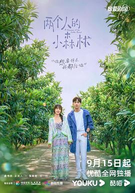 两个人的小森林 2022 电视剧 海报