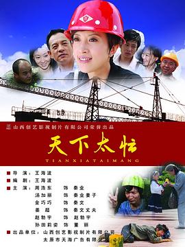 天下太忙 2010 电影 海报
