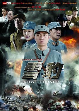 雪豹 2010 电视剧 海报