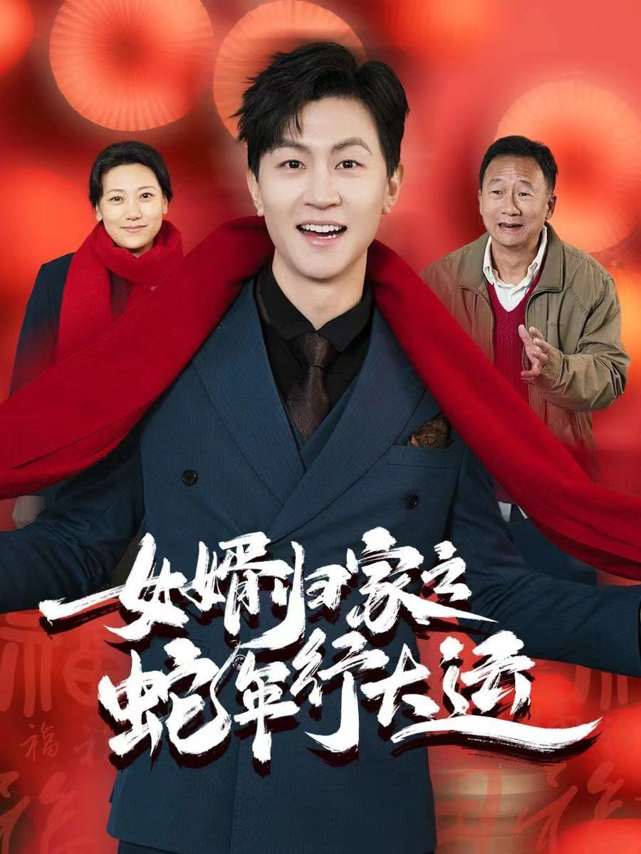 女婿归家之蛇年行大运 2025 短剧 海报