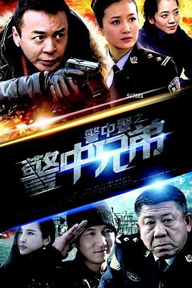 警中警之警中兄弟 2013 电视剧 海报