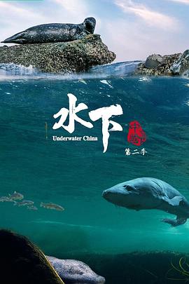 水下中国 第二季 2024 纪录片 海报